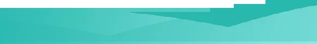 9.webp.jpg