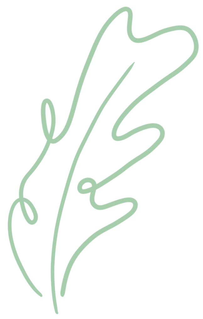 1645607593848524.png