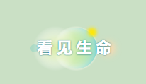 1685608169607512.png